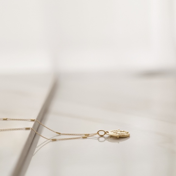 Greek Coin Necklace | 14k Gold Vermeil - Picture 6 of 8